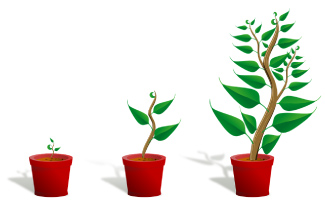 Illustration of three pots with varying sizes of plants growing from each, shortest to tallest.