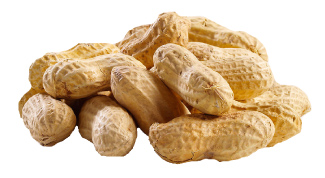 Photo of peanuts