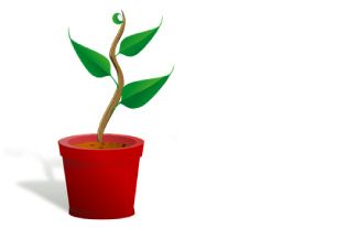 Illustration of a plant growing in a pot